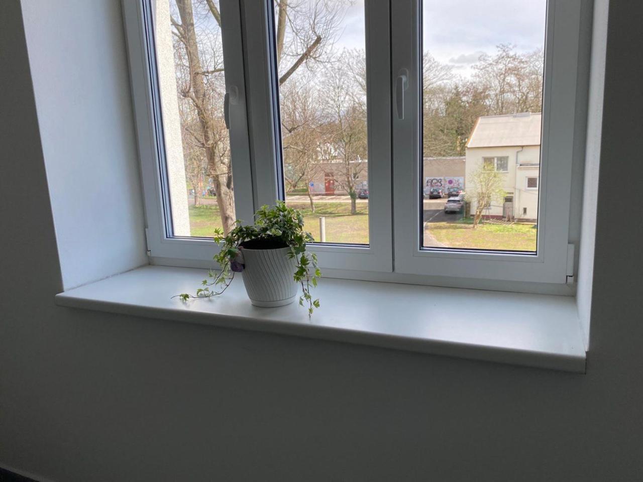 Apartament Perla Hradce 101 Hradec Králové Zewnętrze zdjęcie